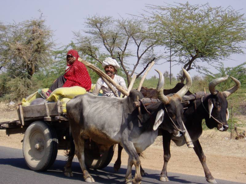 Rajasthan Deluxe Tour