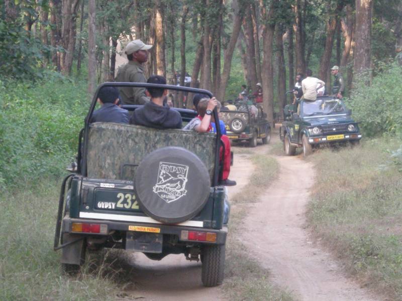 Golden Triangle Tour With Ranthambhore National Park Safari Tour