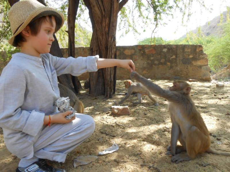 Golden Triangle Tour with Ranthambore Package