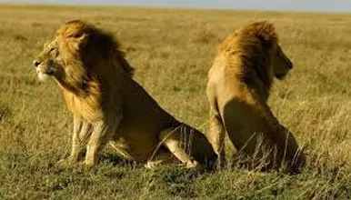 Saurastra Darshan with Ahmedabad  6 Night 7 Days Tour