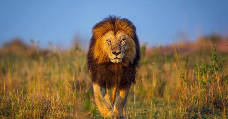 Saurastra Darshan with Ahmedabad  6 Night 7 Days Tour