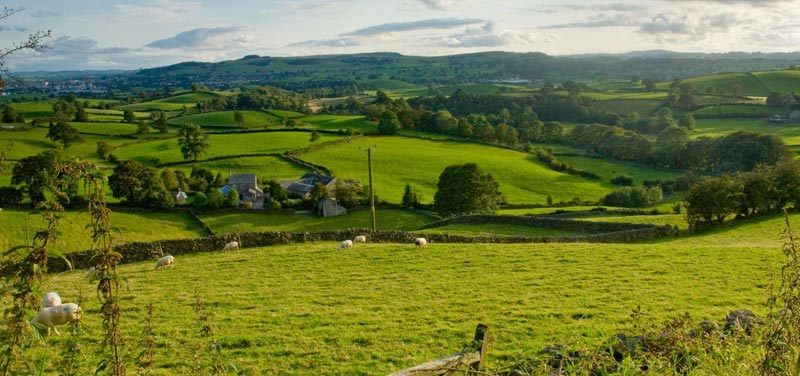 Indivik UK 9 Days Tour