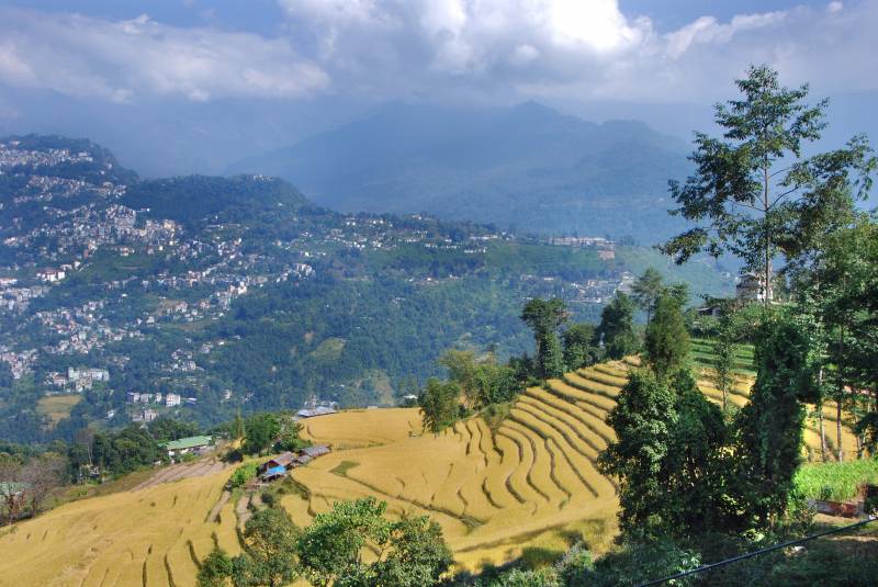 Darjeeling With Gangtok Tour