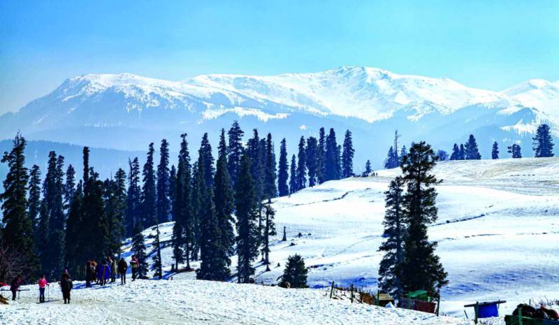 Gulmarg Winter Tour