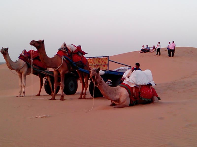 Special Desert & City Package