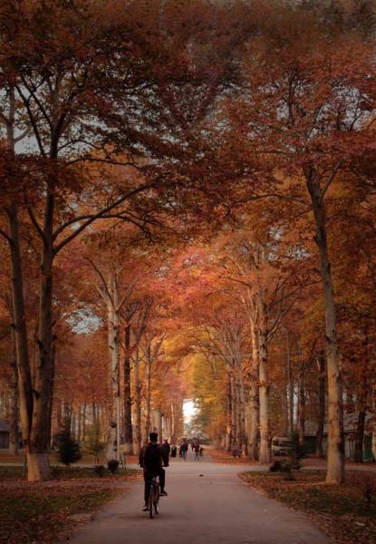 Kashmir Package 4 Nights - 5 Days