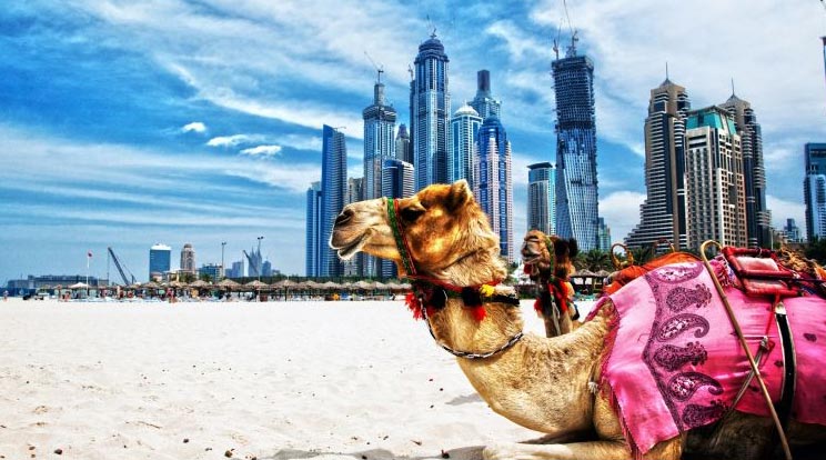 Free and Easy Dubai Package