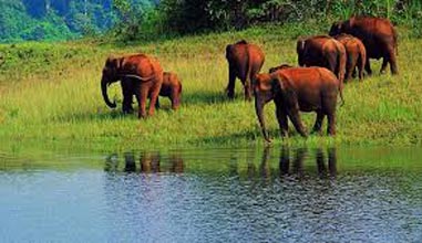 Budget South Leisure Cochi Madurai Tour Package