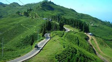 Darjeeling Holiday Tour Package