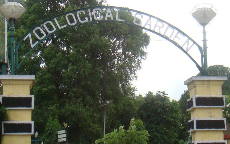 Discover Kolkata Package