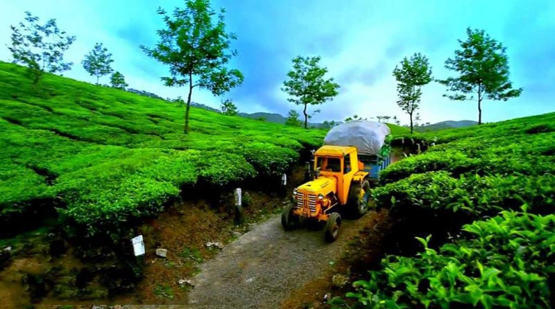 Kerala With Kanyakumari Tour