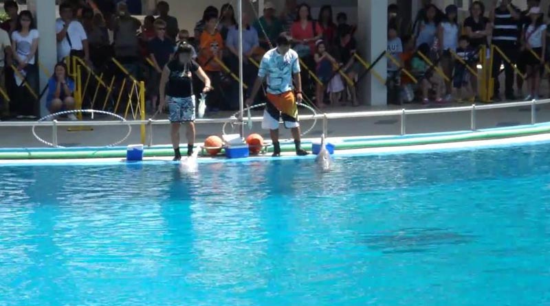 Glorious Singapore Tour