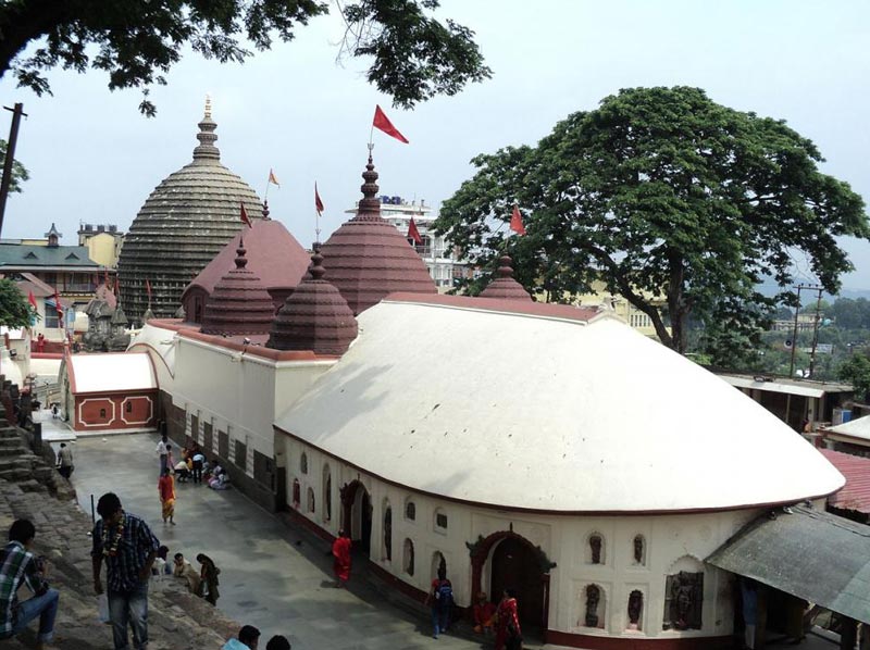 Assam-Shilong-Kaziranga Tour