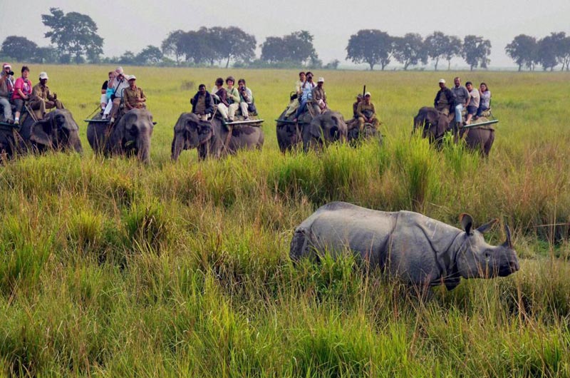 Assam-Shilong-Kaziranga Tour