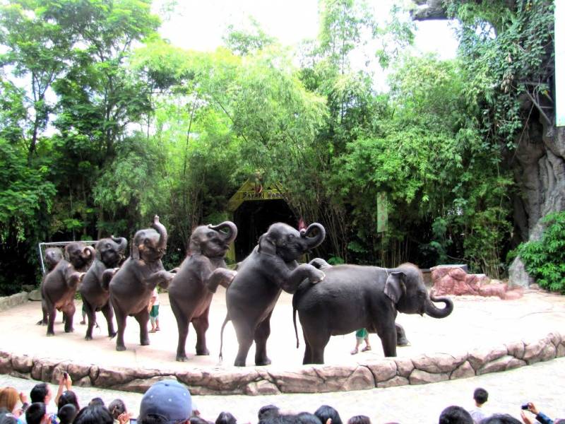 04 Nights / 05 Days Bangkok Pattaya Tour