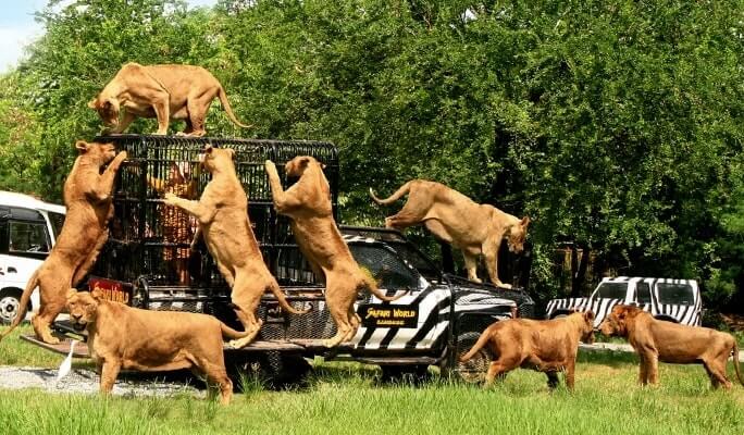 04 Nights / 05 Days Bangkok Pattaya Tour