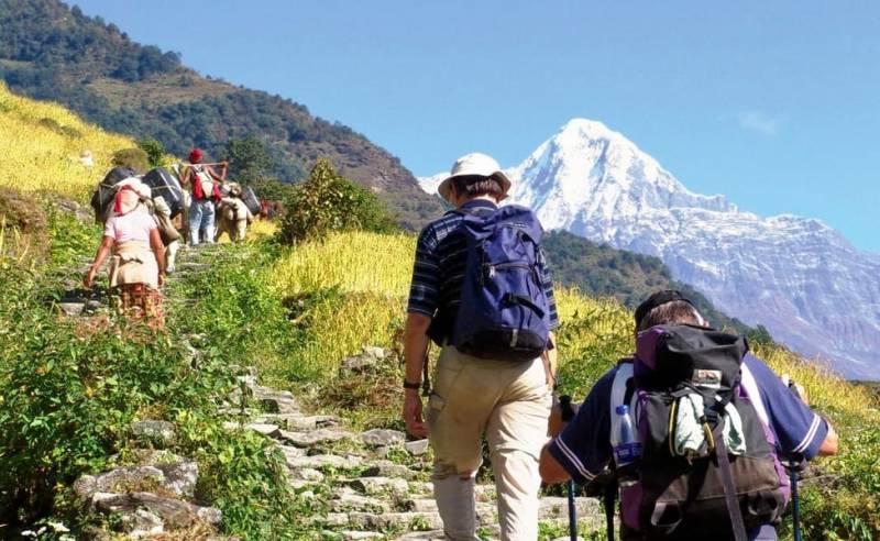 Karkai Peak Day Trek Tour Image