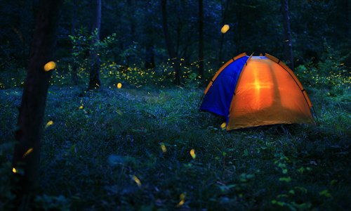 Fireflies – Bhandardara Camping  Samrad Village Tour