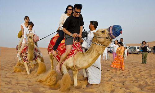 Camel Safari Package For A Night @ INR 2500
