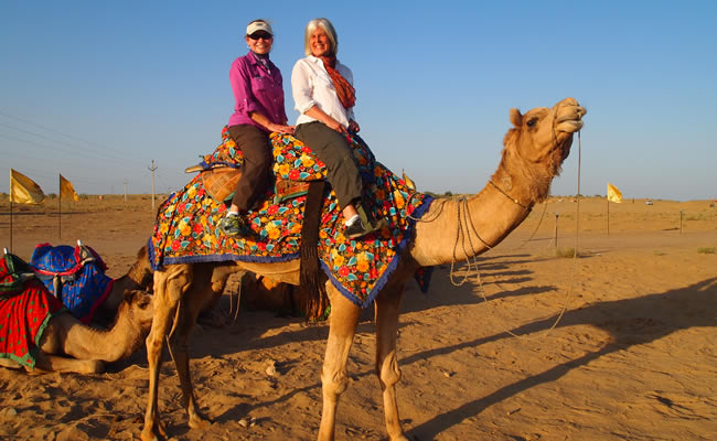 Camel Safari Package For An Evening @ Inr 1200