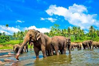 Beautiful Sri Lanka Tour