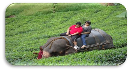 06 Days/ 05 Nights Kerala Family Tour Itinerary