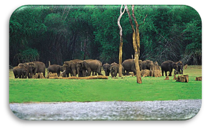 06 Days/ 05 Nights Kerala Family Tour Itinerary