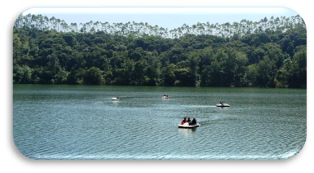 06 Days/ 05 Nights Kerala Family Tour Itinerary