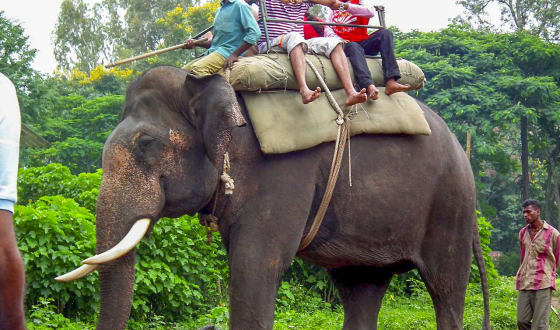 Kerala Honeymoon Package