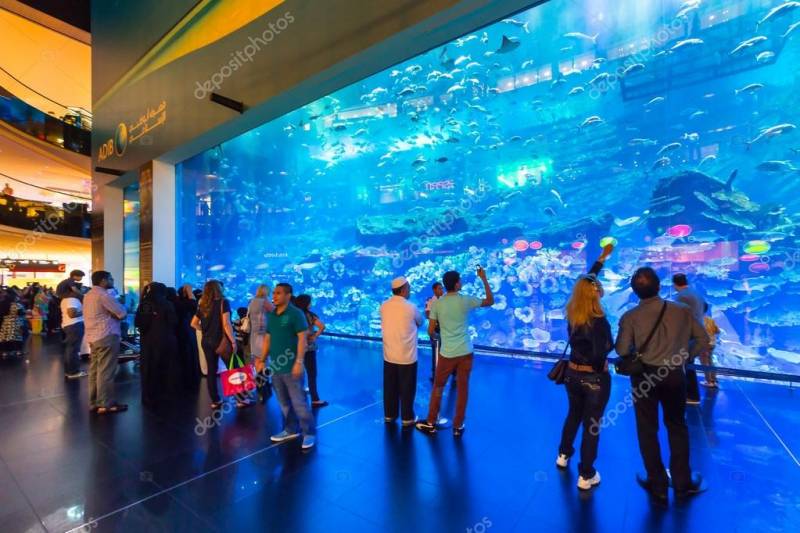 Dubai Tour Package in Crowne Plaza Dubai 3 Nights & 4 Days