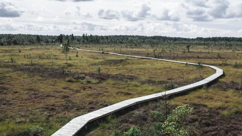 Self-Guided Cycling in Lithuania Coastline National Park Tour