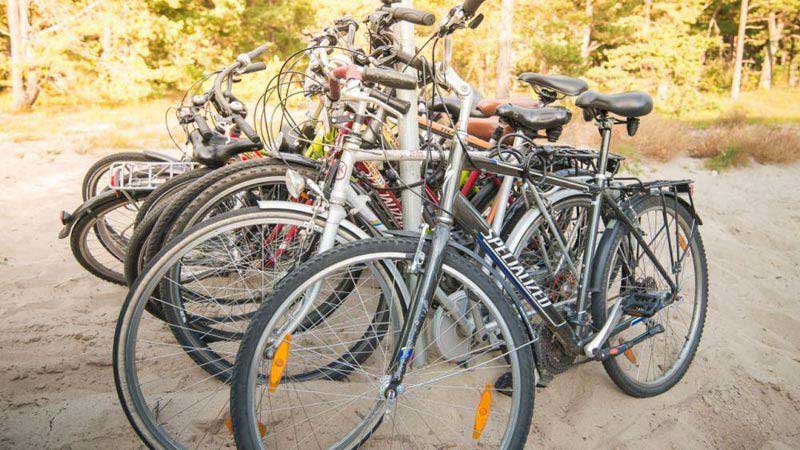 Self-Guided Cycling in Lithuania Coastline National Park Tour