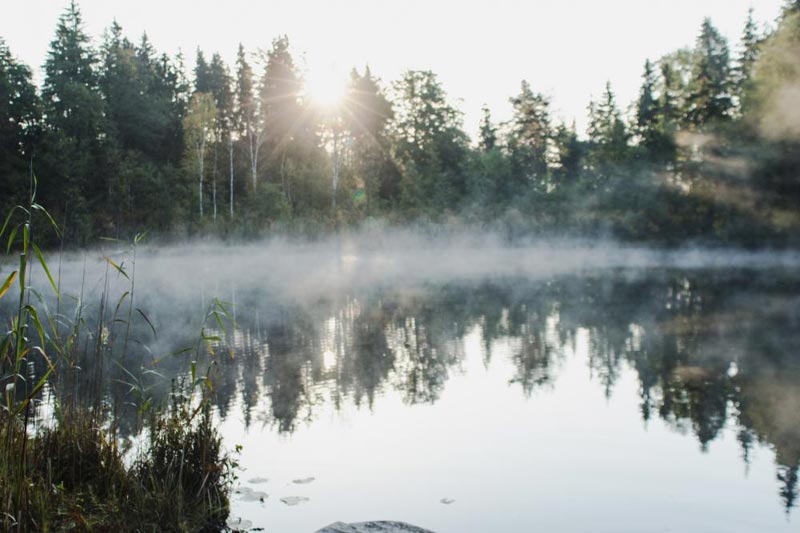 Around Lithuania Including Nuclear Power Plant Visit Private Tour