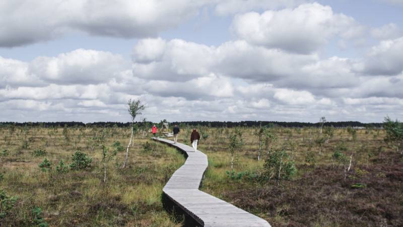 Small Group Lithuania in 7 Days (guaranteed Departure)