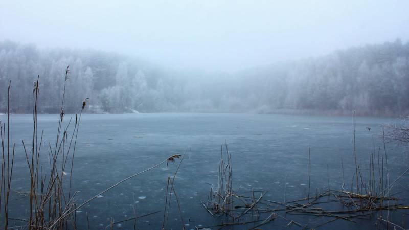 Small Group Highlights of the Baltic States in 8 Days (guaranteed Departure)