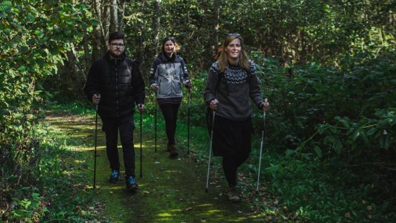 Small Group Highlights of the Baltic States in 8 Days (guaranteed Departure)