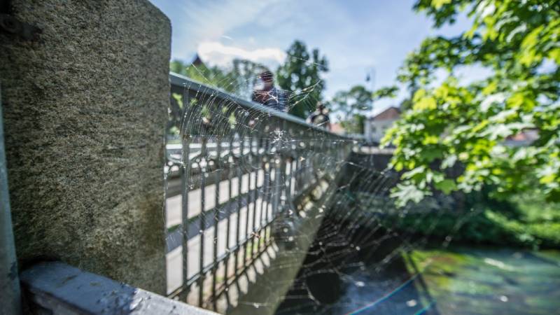 Baltic Adventure in 10 Days