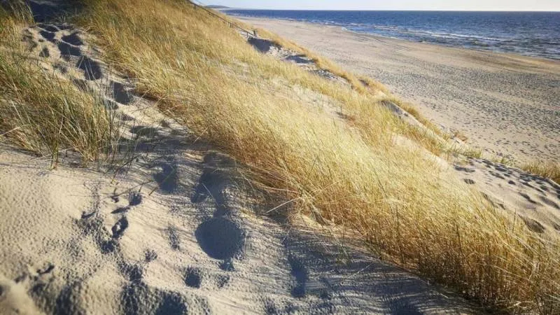 Baltic Adventure in 10 Days