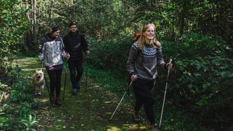 4 Days Full Lithuanian Forest Experience