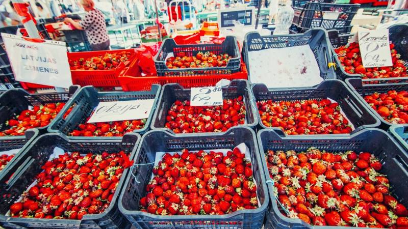 Baltic Foodie Tour 8 Days