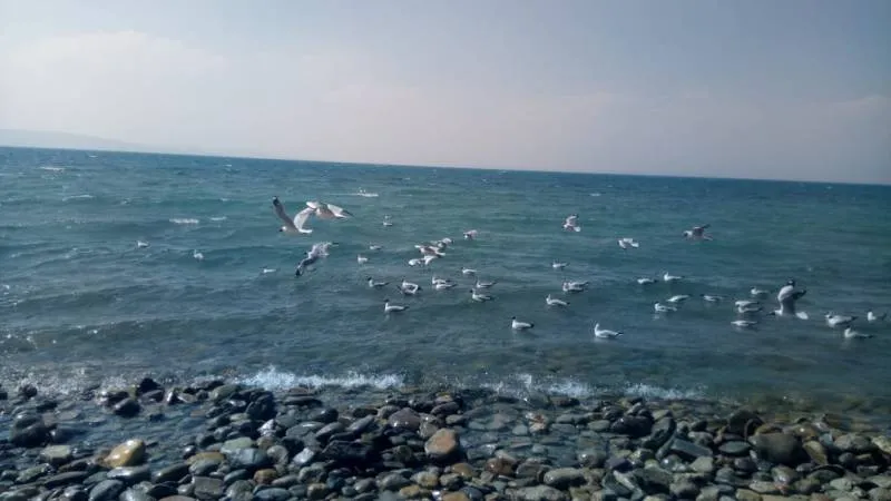 Kailash Manasarovar Yatra By Helicopter Ex-lucknow 10 N 11 D