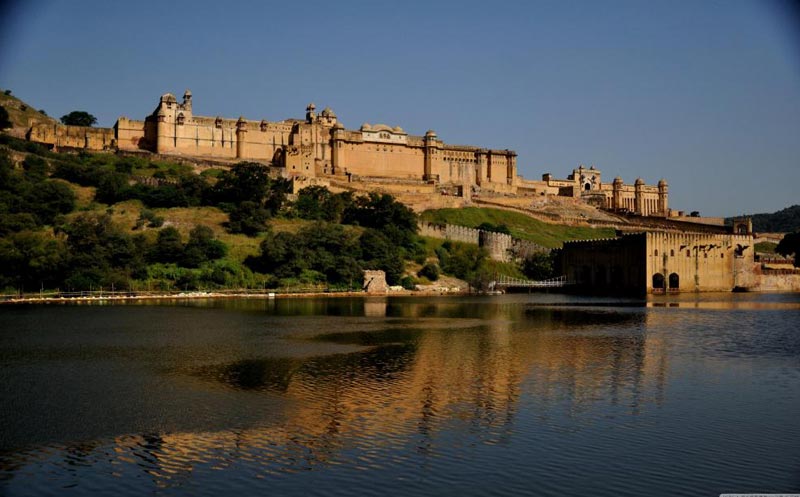 Camel Rajasthan Tour