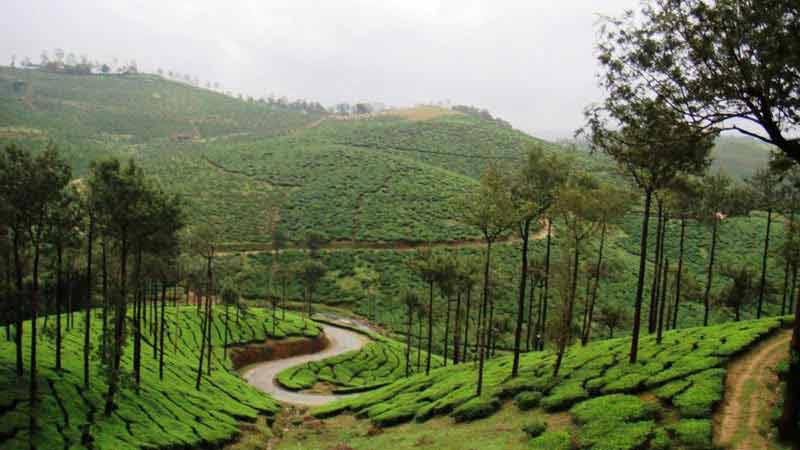 Kerala Package - 7 Days