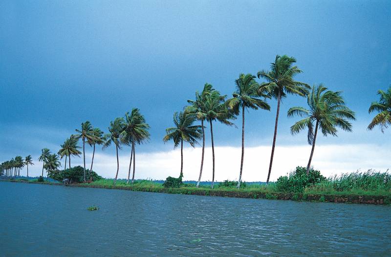 Scenic Kerala Hills & Backwater Tour Package