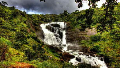 Charming Coorg & Waynad Tour Package