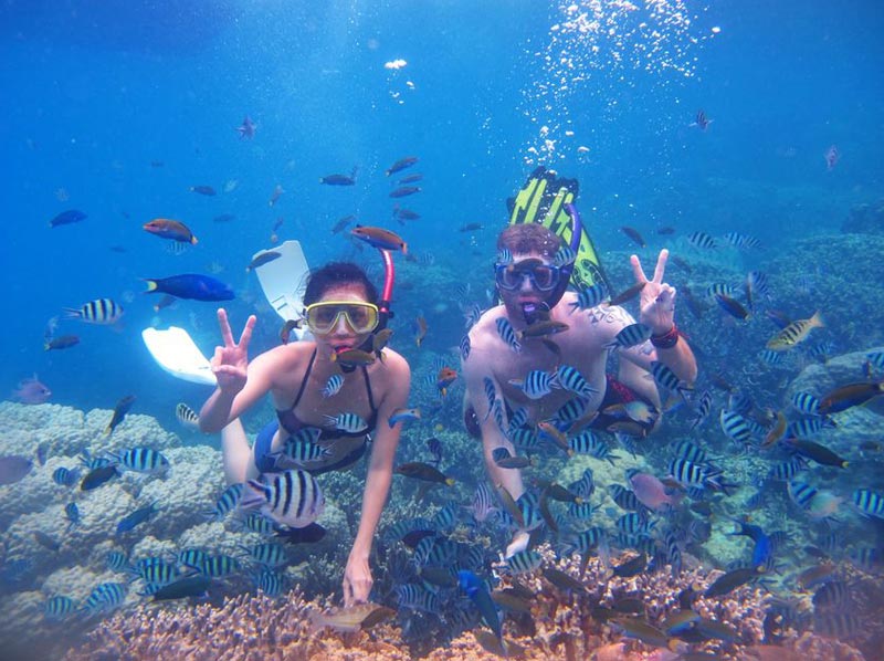 From Dubai: Snorkeling Trip In Fujairah With Transfer Tour