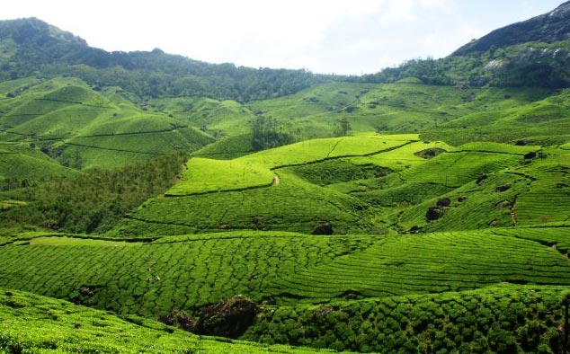 Kerala Package 3Night 4Days