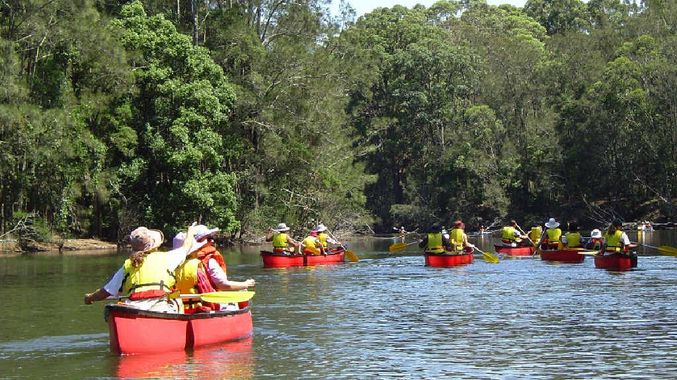 Cruise In A Canoe Boat Tour