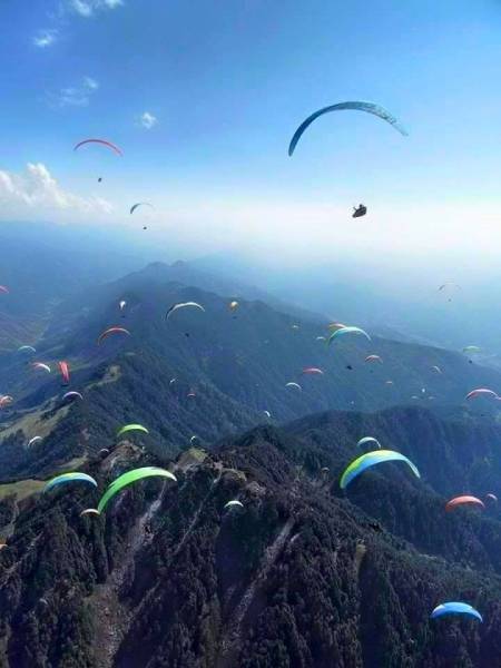 Paragliding Bir Billing