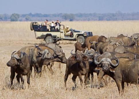 South Luangwa Lower Zambezi & Kafue National Park Safari Package